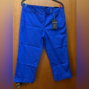 Zac & Rachel Dazzling Blue Crop Pants